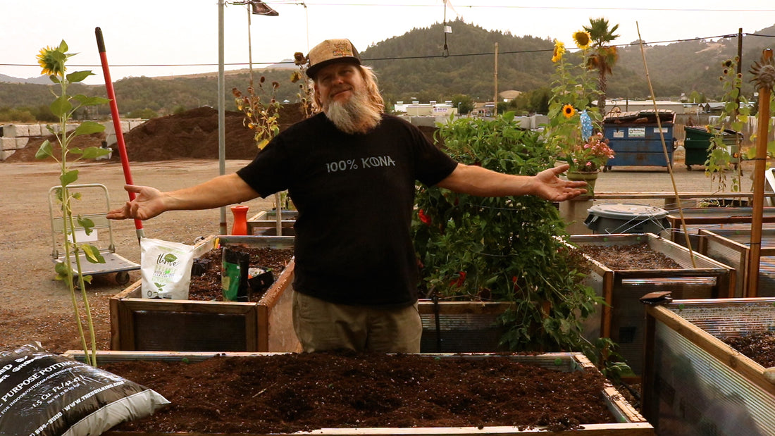 Preparing A Fall Vegetable Garden
