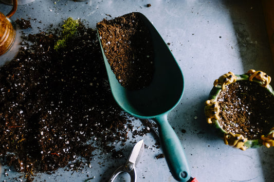 What’s The Difference Between Garden Soil And Topsoil?