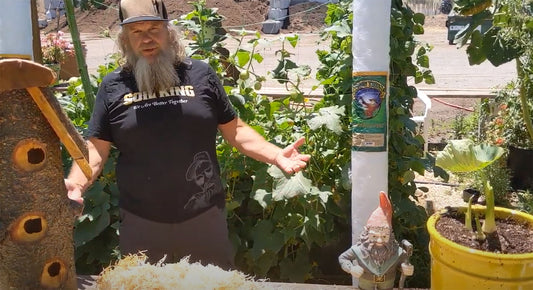 Why You Should Use Biodegradable Trellis Netting In Your Garden