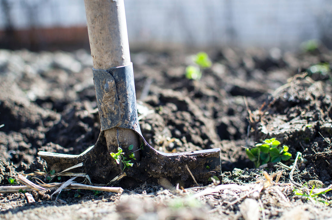 How To Prepare Your Vegetable Garden For Fall: Fall Gardening Tips