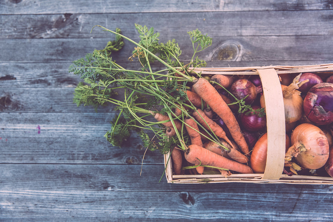 Top 5 Vegetables To Grow In The Fall & Winter