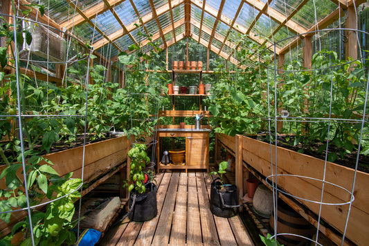 How to Grow Vegetables Outdoors in the Winter