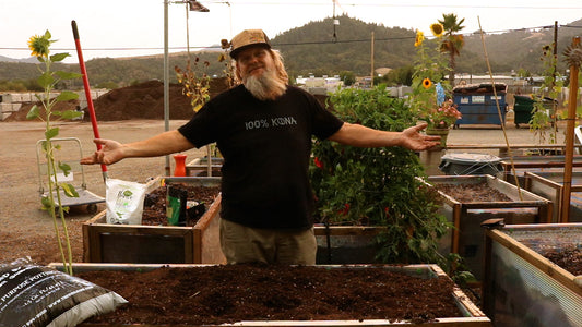 Preparing A Fall Vegetable Garden