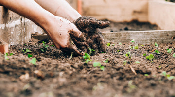 What Is the Best Kind of Soil for Gardening?