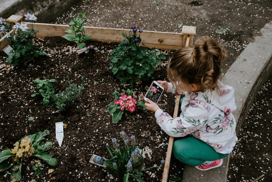 What Is Companion Planting In A Vegetable Garden?
