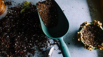 What’s The Difference Between Garden Soil And Topsoil?