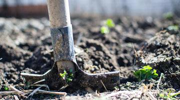 How To Prepare Your Vegetable Garden For Fall: Fall Gardening Tips