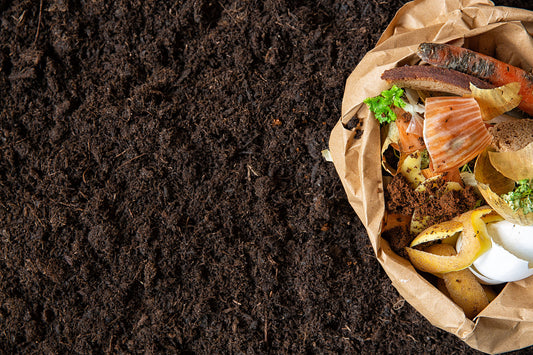 How To Compost In Winter Months