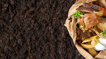 How To Compost In Winter Months