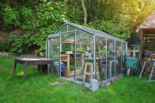 What's the Easiest Vegetable to Grow Indoors?