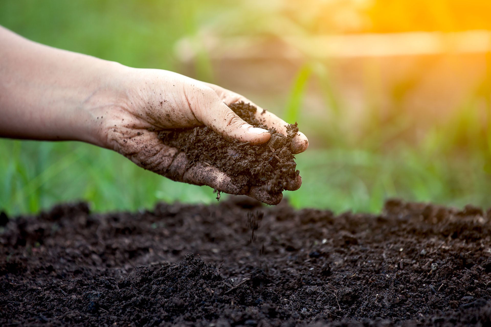 Is There A Difference Between Outdoor Soil, Potting Soil, And Potting – The Soil King