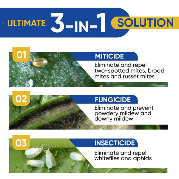 Magic Flower Bud Finisher - Natural Pesticide & Ripening Spray