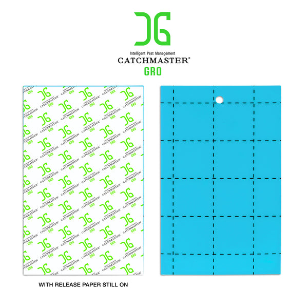 Catchmaster Gro Sticky Cards - Blue or Yellow