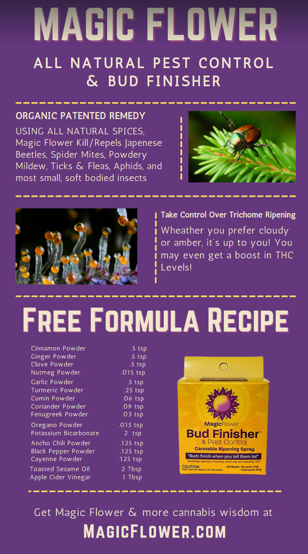 Magic Flower Bud Finisher - Natural Pesticide & Ripening Spray