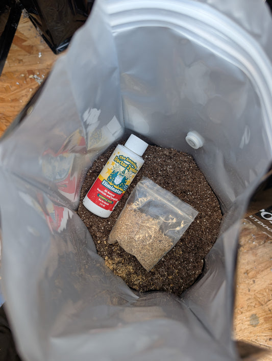 Organic Baby Rootz® Seedling Mix