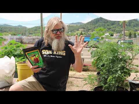 Mr. B's Green Trees - Azospirillum Bacteria